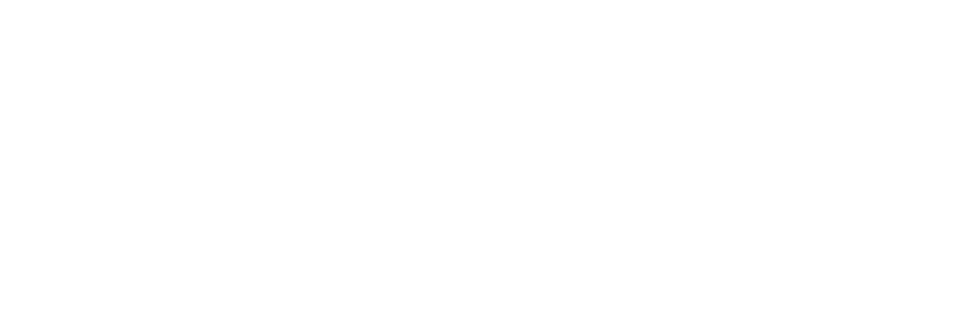 OnPoint BI